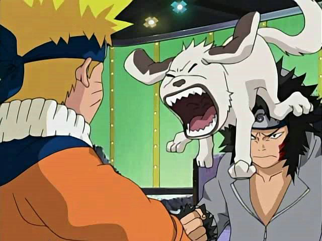 Image de l'épisode 202 de Naruto
